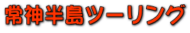 ��_�����c�[�����O