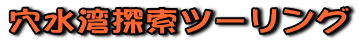 �����p�T���c�[�����O