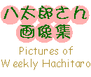 Y摜W