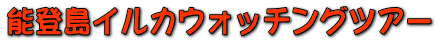 能登島イルカウォッチングツアー
