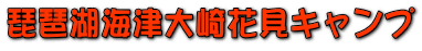 琵琶湖海津大崎花見キャンプ